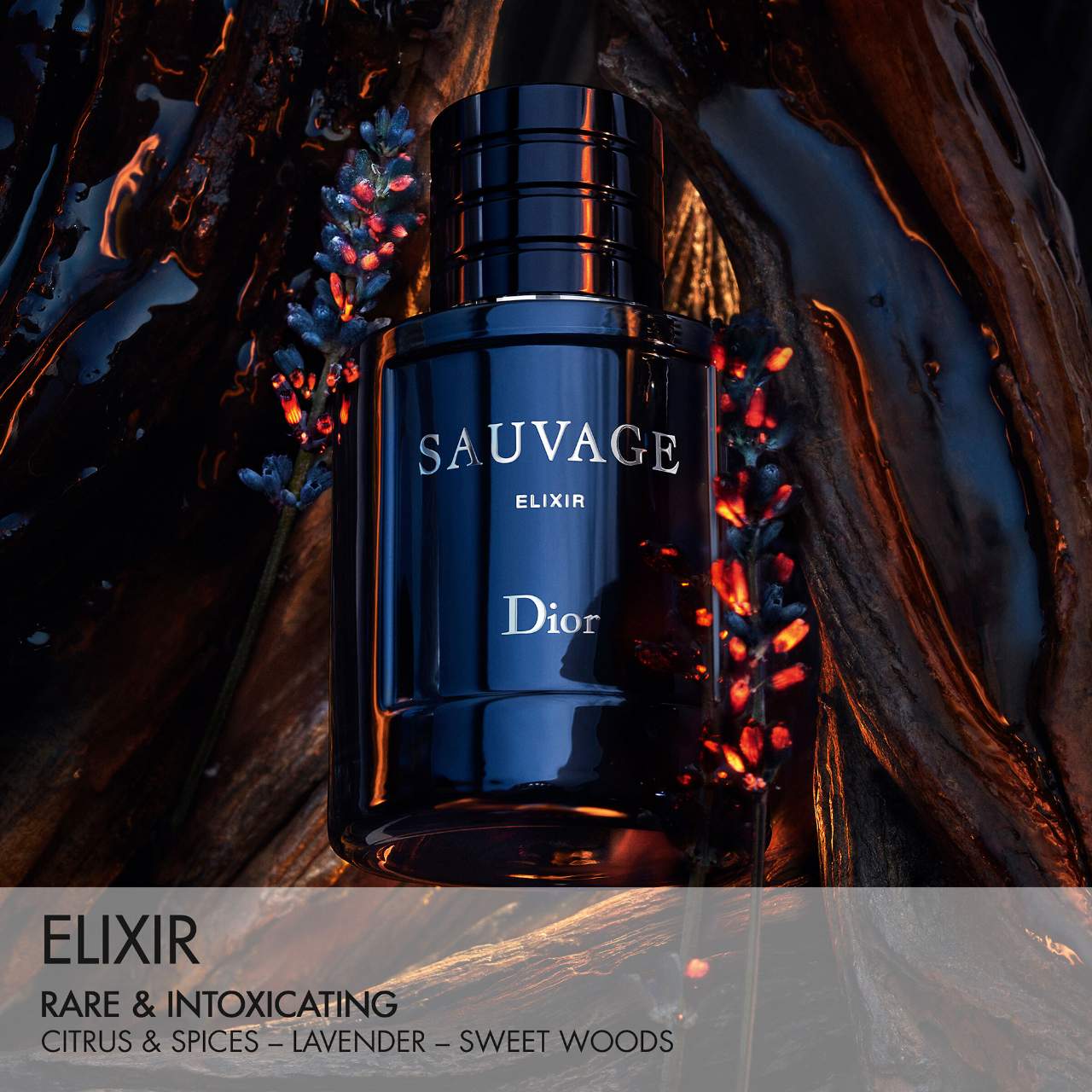 Dior Sauvage Elixir fragrance – product image 2
